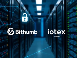 A digital padlock over blockchain nodes, symbolizing the Bithumb IOTX suspension for a crucial IoTeX mainnet upgrade.