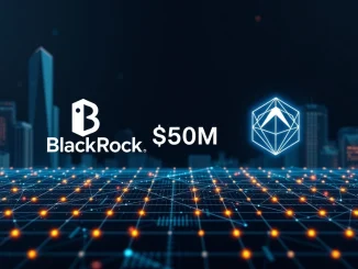 Illustrates BlackRock BUIDL fund's significant $500M transfer, enhancing the Polygon network's real-world asset tokenization capabilities.