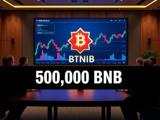 Chart showing CEA Industry's BNB holdings, illustrating a significant corporate crypto investment and strategic move in digital assets.