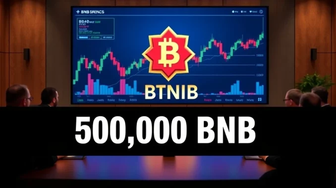 Chart showing CEA Industry's BNB holdings, illustrating a significant corporate crypto investment and strategic move in digital assets.
