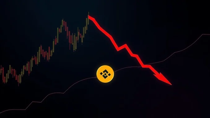 BNB Price Warning: Critical Double Top Pattern Threatens 30% Plunge A cryptocurrency chart showing a double top pattern, indicating a potential BNB price drop and a bearish BNB outlook.
