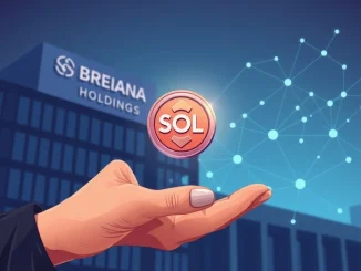 Brera Holdings' strategic $50M Solana SOL investment agreement with Solana Foundation for infrastructure support.