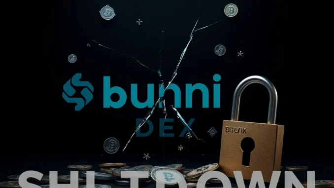Depicts the collapse of Bunni DEX after a major hack, illustrating the critical need for robust decentralized exchange security.