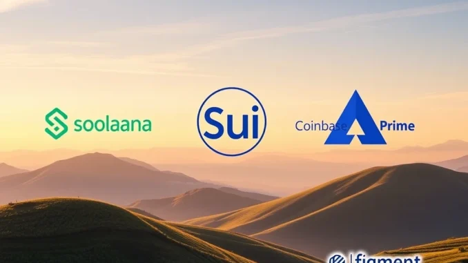 Digital assets representing Solana, Sui, and Avalanche tokens being staked within the Coinbase Prime platform, symbolizing the expanded Coinbase Prime staking partnership with Figment.