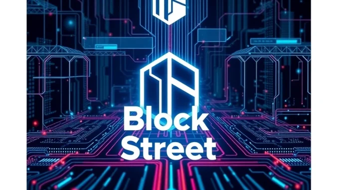 Block Street secures $11.5M funding, advancing crypto infrastructure for on-chain equities. Visualizing secure digital asset execution.