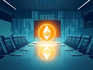 Maia Biotechnology's board meeting discussing their new **crypto treasury strategy** with digital asset symbols like Bitcoin and Ethereum on screen.