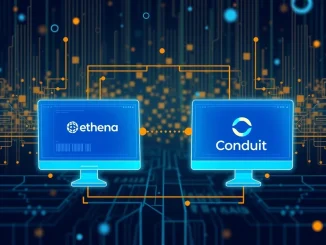 Conduit's integration of Ethena stablecoin infrastructure, enabling seamless stablecoin-as-a-service for users.