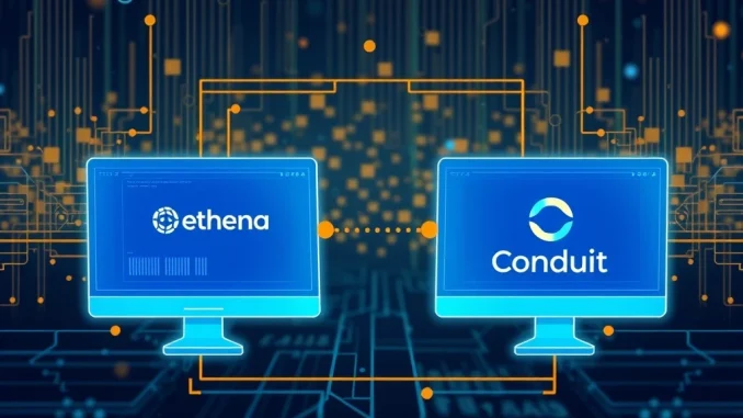 Conduit's integration of Ethena stablecoin infrastructure, enabling seamless stablecoin-as-a-service for users.
