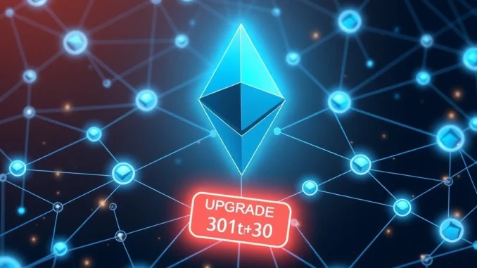 Ethereum Pectra Upgrade: Revolutionary Success Poised for Dec. 3 Mainnet Launch A visual representation of the successful Ethereum Pectra Upgrade, showing improved network efficiency and a confirmed mainnet launch date.