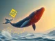 Ethereum whale makes a significant 2,870 ETH withdrawal from Binance, signaling long-term holding intent.
