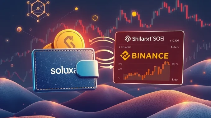 A visual representation of Galaxy Digital's significant SOL deposit being transferred to Binance, symbolizing major crypto market activity.