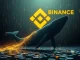 A digital whale moving a massive stream of funds, representing a **USDT transfer** from Binance, highlighting a significant **blockchain transaction**.