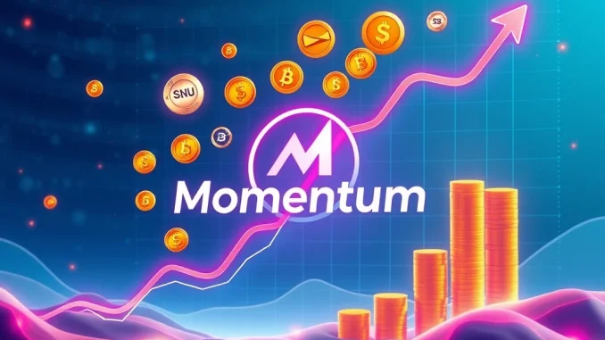 A chart showing the successful Momentum DEX community sale, highlighting rapid growth and investor confidence in the Sui ecosystem.