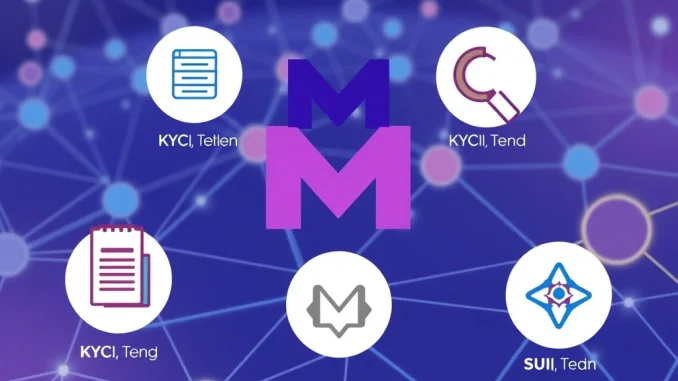 Illustrative image showing the crucial KYC verification process for the Momentum Token Sale on the Sui ecosystem.