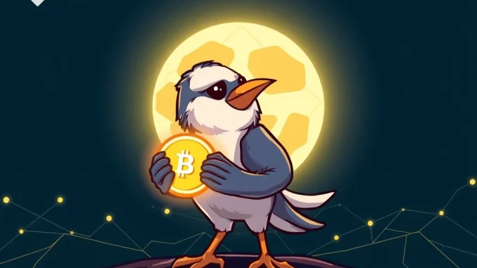 Moonbirds BIRB token launch on Solana blockchain, symbolizing the NFT project's strategic Web3 expansion.