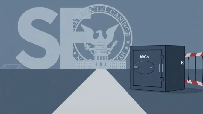 Visual representation of the SEC IPO process simplification impacting BitGo during a government shutdown, showing streamlined pathways.