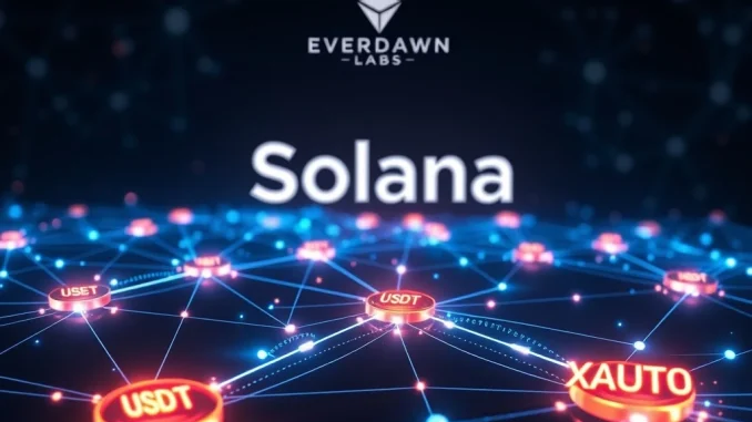 A visual representation of Everdawn Labs' cross-chain bridging of USDT0 and XAUT0 on the Solana blockchain, enabling seamless token transfers.