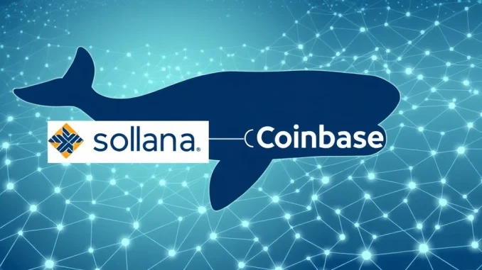 Illustrates a massive Solana (SOL) whale transfer to Coinbase Institutional, signifying a major market movement.
