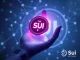 Digital representation of community ideas shaping Sui governance, with a SUI token at the center, symbolizing the rewarding challenge.