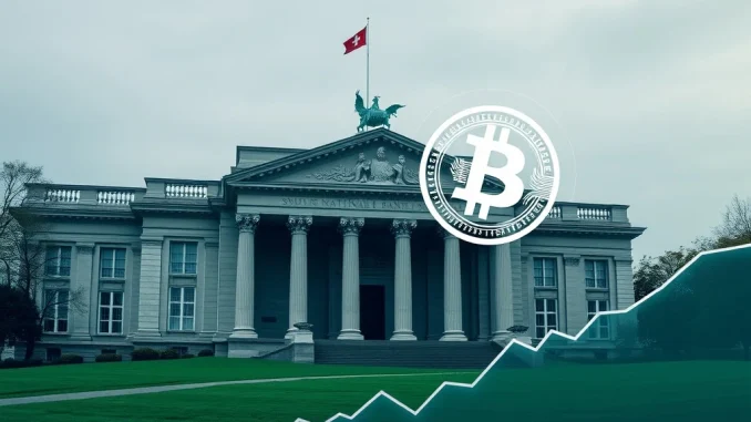 Visualizing the Swiss National Bank's significant $213 million investment in MicroStrategy, linking traditional finance to Bitcoin holdings.