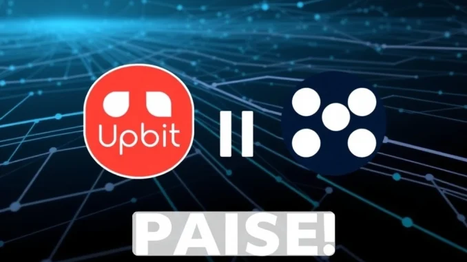 An official announcement regarding the Upbit DOT suspension for Polkadot deposits and withdrawals.