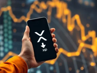 A digital representation showing a significant XRP transaction by Ripple co-founder Chris Larsen, influencing cryptocurrency markets.