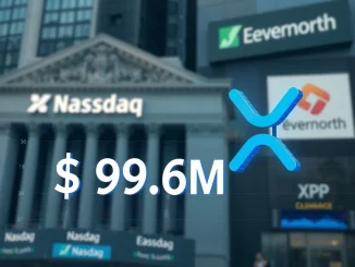 Chart showing Evernorth's substantial XRP holdings, illustrating their strategic cryptocurrency investment strategy.