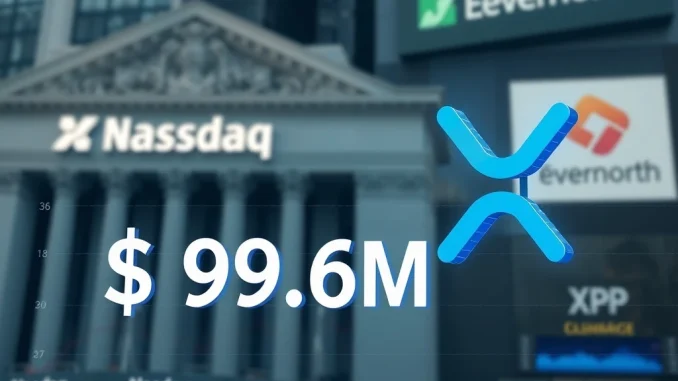 Chart showing Evernorth's substantial XRP holdings, illustrating their strategic cryptocurrency investment strategy.