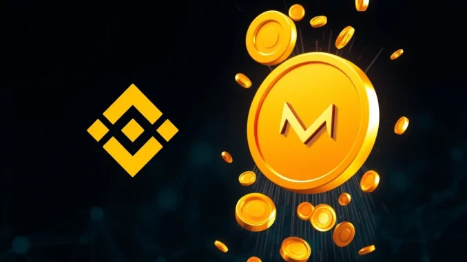 Binance logo next to Momentum (MMT) token, representing the upcoming Binance MMT listing and HODLer airdrop.