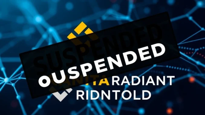 A Binance logo with a pause symbol next to a Radiant Capital OLD (RDNTOLD) logo, illustrating the **Binance RDNTOLD suspension** on Arbitrum.