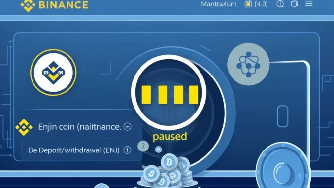 Crucial Binance Suspension: Essential Network Upgrades for OM and ENJ Binance suspension of OM and ENJ deposits and withdrawals for crucial network upgrades, ensuring secure crypto transactions.