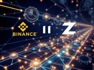 Binance ZIL suspension graphic, illustrating the temporary halt of Zilliqa (ZIL) deposits and withdrawals for a network upgrade.