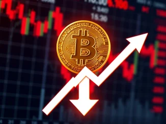 A volatile chart showing a significant Bitcoin price drop, illustrating market concern as BTC falls below $105,000.