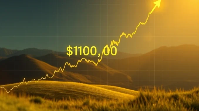 A digital chart showing the Bitcoin price surpassing the $103,000 mark, indicating a significant BTC surge.