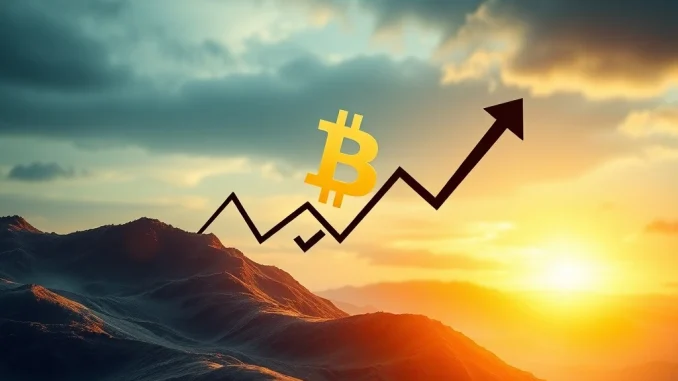A visual representation of Bitcoin's urgent challenge on a declining chart, highlighting key Bitcoin Price Analysis factors.
