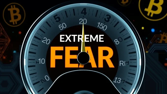 A gauge showing the **Crypto Fear & Greed Index** pointing to 'Extreme Fear' at 23, illustrating current market sentiment.