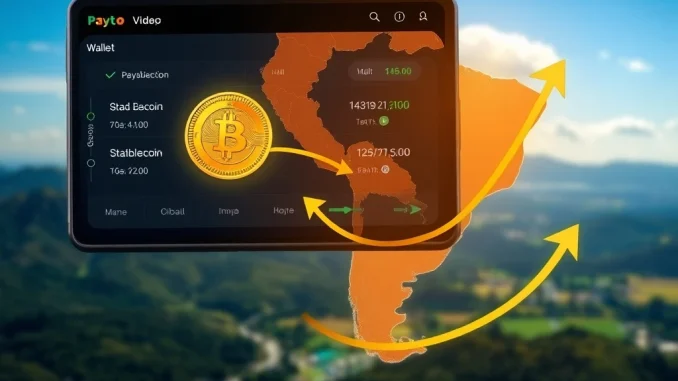 Exodus Stablecoin Payments: Strategic Grateful Acquisition Ignites Latin American Growth A digital wallet interface shows stablecoin transactions, representing Exodus stablecoin payments expansion in Latin America.