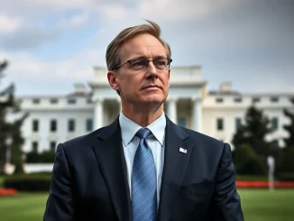 White House advisor Kevin Hassett discusses the realistic prospect of a 25 basis point Fed rate cut, impacting global interest rates and economic outlook.