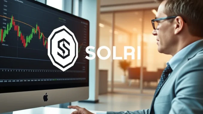 Solana Company executive reviewing a **Solana share buyback** strategy, aiming to boost investor confidence and market value.