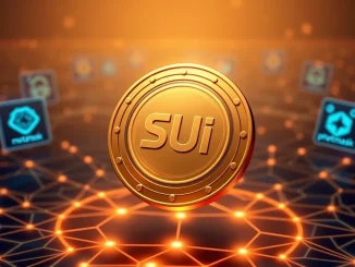 Sui stablecoin USDsui logo on a secure digital coin, symbolizing its upcoming launch and compliance within the crypto ecosystem.