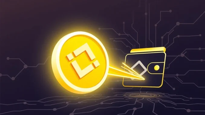 A visual representation of a significant USDT transfer from Binance, highlighting a crypto whale's stablecoin movement.