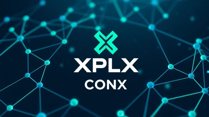 Visualizing the XPLA token name change to CONX, highlighting the evolution of the Com2uS Holdings blockchain.