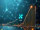 Chart illustrating a significant surge in new XRP addresses, signaling robust network growth and investor confidence in Ripple XRP.