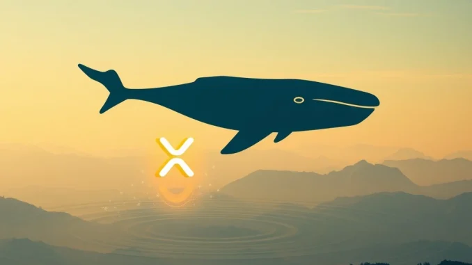 Illustrates a significant XRP transfer of 200 million tokens, showing the movement of value within the blockchain.