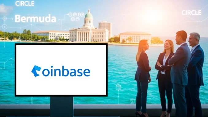 Bermuda partners with Coinbase and Circle to build complete on-chain economy and digital asset infrastructure