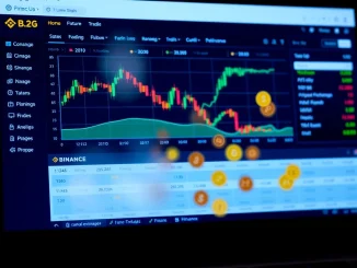 Binance exchange delisting perpetual futures contracts for BID, DMC, ZRC, and TANSSI tokens.