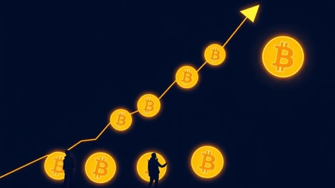 Bitcoin accumulation surge showing institutional investor confidence in cryptocurrency market recovery