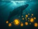 A Bitcoin whale panic-selling 200 BTC during a market downturn, resulting in a multi-million dollar loss.