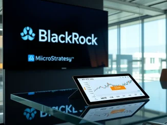 BlackRock ETF invests $380 million in MicroStrategy preferred stock showing institutional Bitcoin confidence