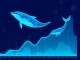 Cardano whales accumulate ADA tokens as market data shows significant buying activity by large holders